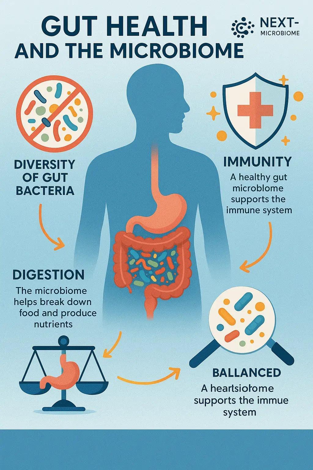 Digestive system anatomy linked to common symptoms